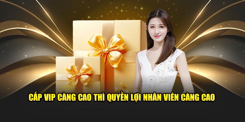 Cấp VIP càng cao thì quyền lợi nhân viên càng cao 