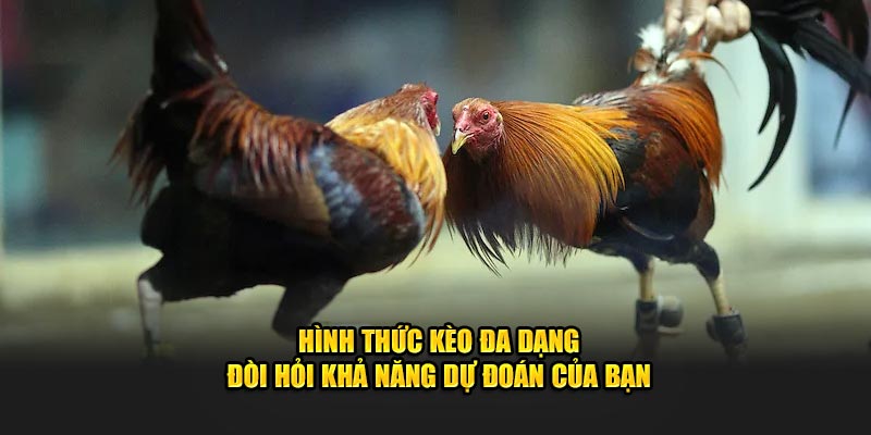 Hình thức kèo đa dạng dự đòi hỏi khả năng dự đoán của bạn 